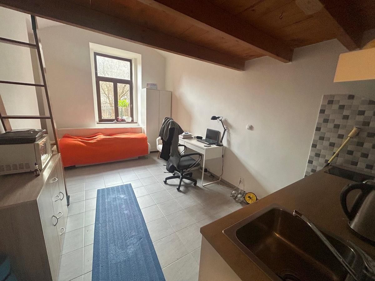 Pronájem byt 1+kk - Zoubkova, Praha, 28 m²