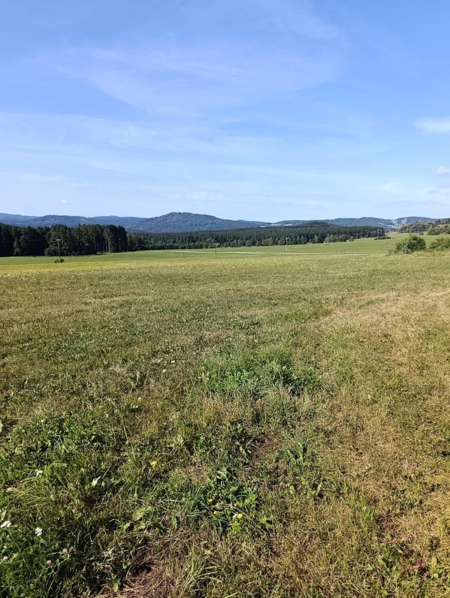 Pozemek pro bydlení, 6 999 m²