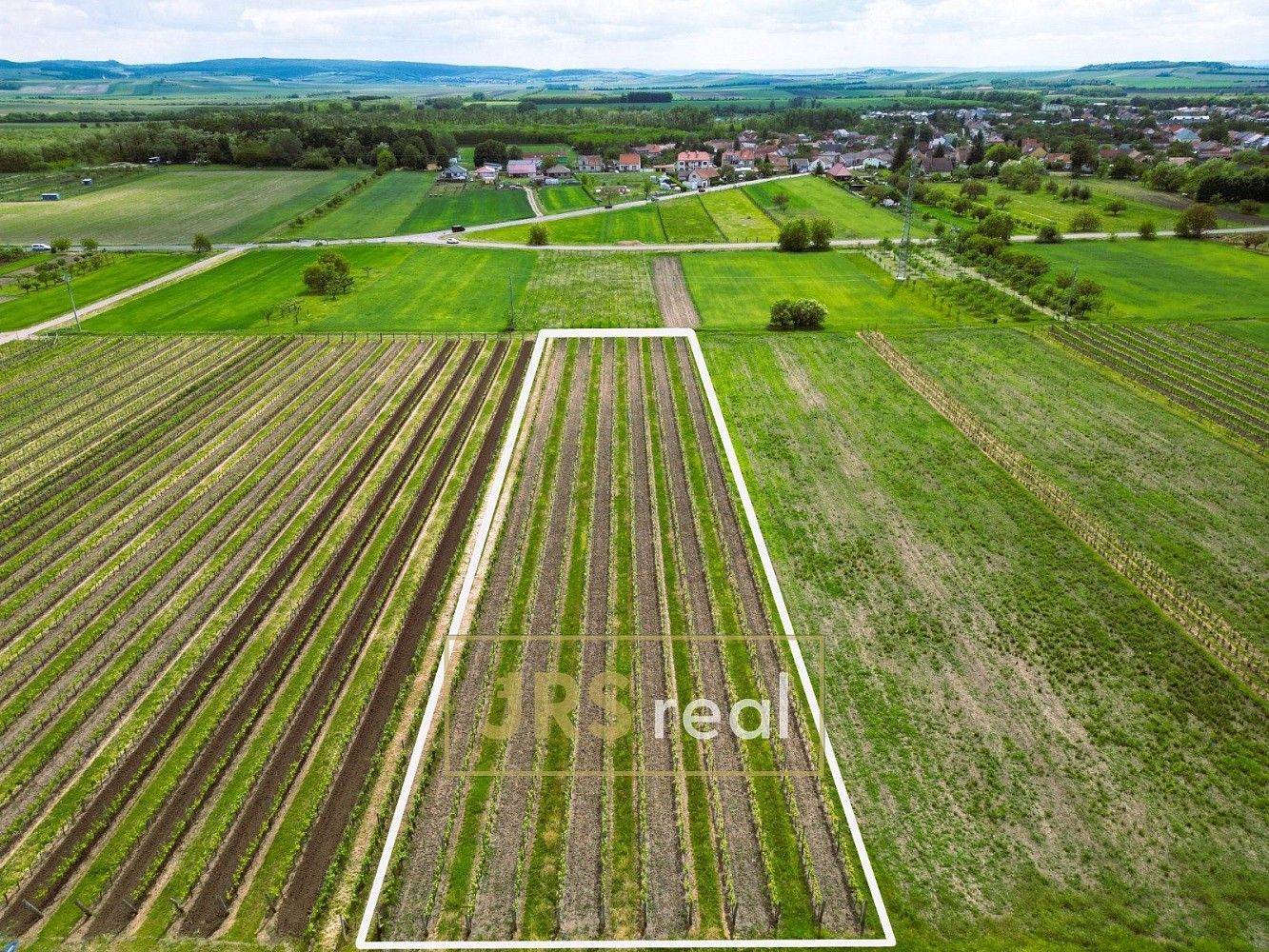 Zemědělské pozemky, Březí, okres Břeclav, Jihomoravský kraj