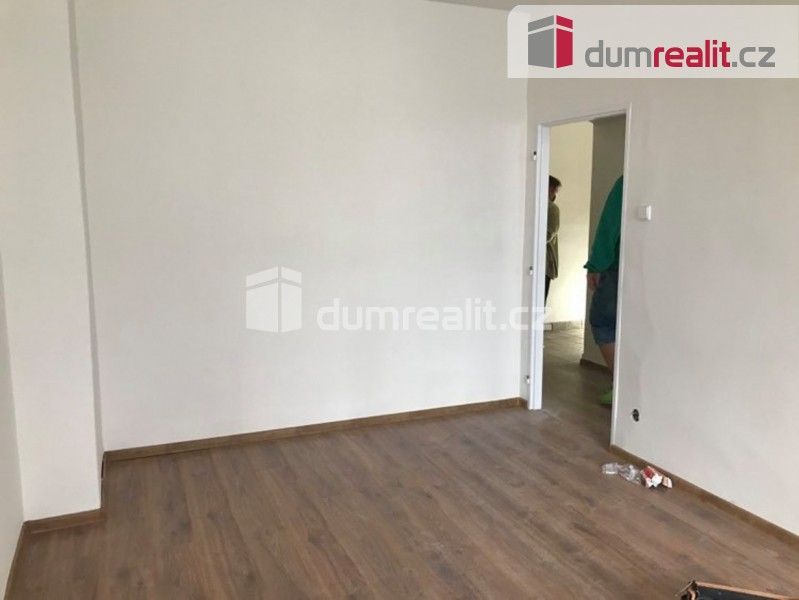 1+kk, Generála Janouška, Praha, 17 m²