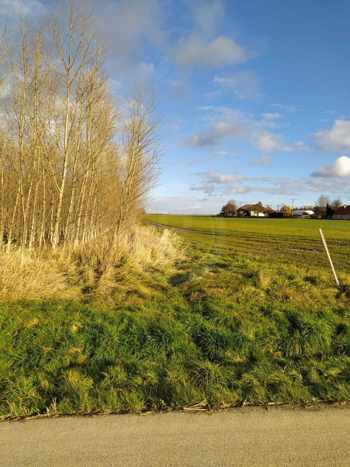 Prodej louka - Hluboká u Borovan, Borovany, 10 m²