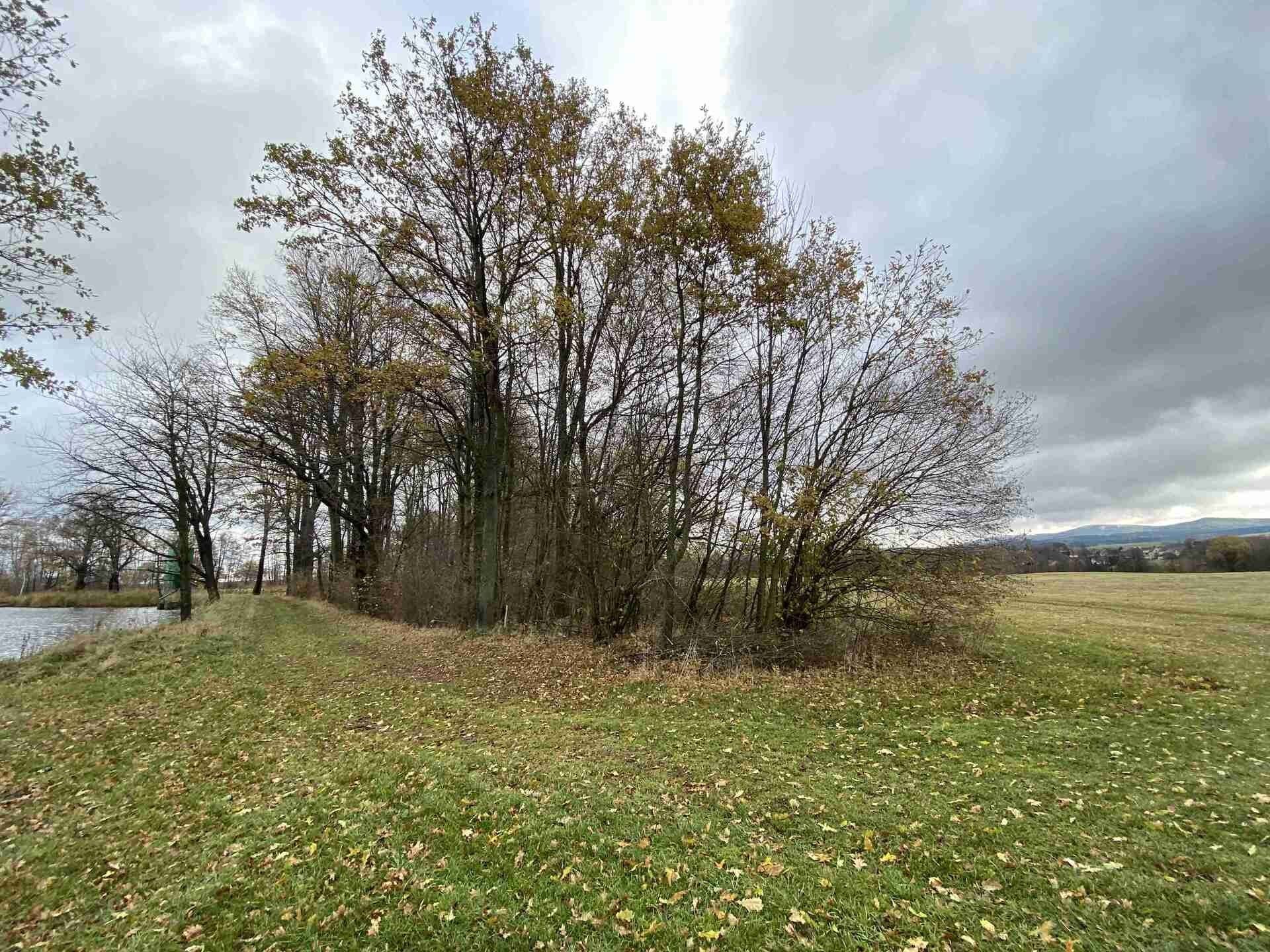 Prodej pozemek - Svébohy, Horní Stropnice, 1 m²