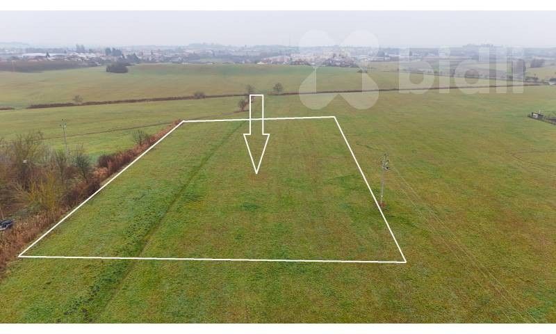 Prodej louka - Podlesí, Holice