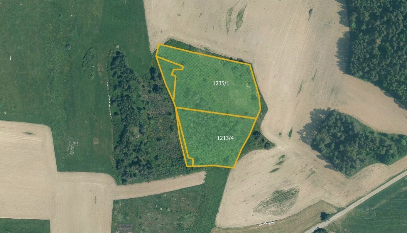 Prodej zemědělský pozemek - Velký Bor