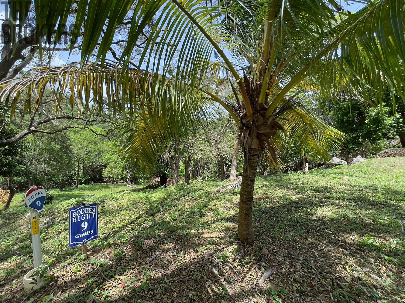 Prodej pozemek pro bydlení - Coxen Hole, Roatán, Honduras - 5