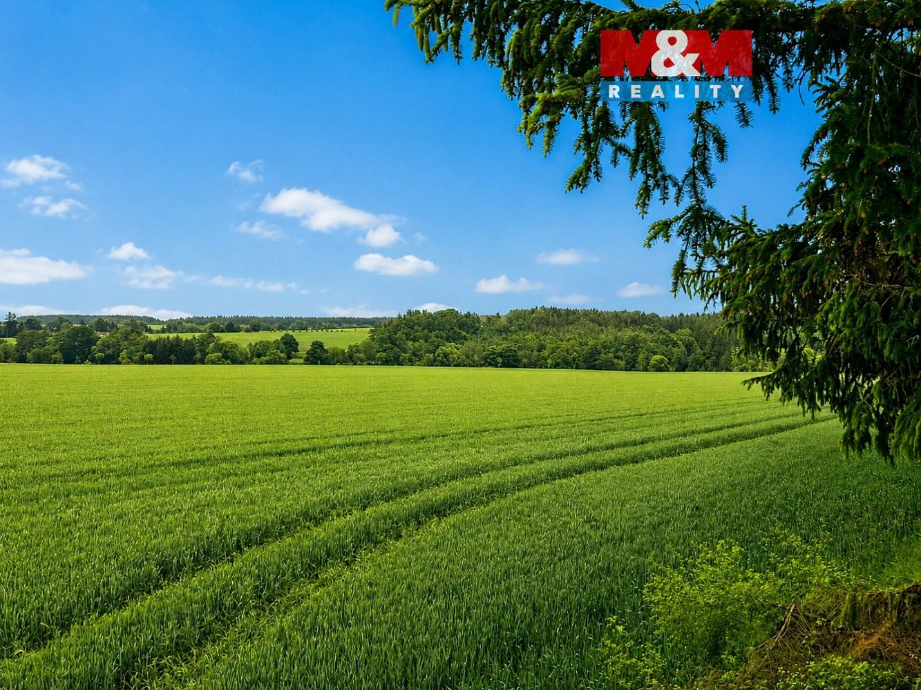 Zemědělský pozemek, 7 484 m²