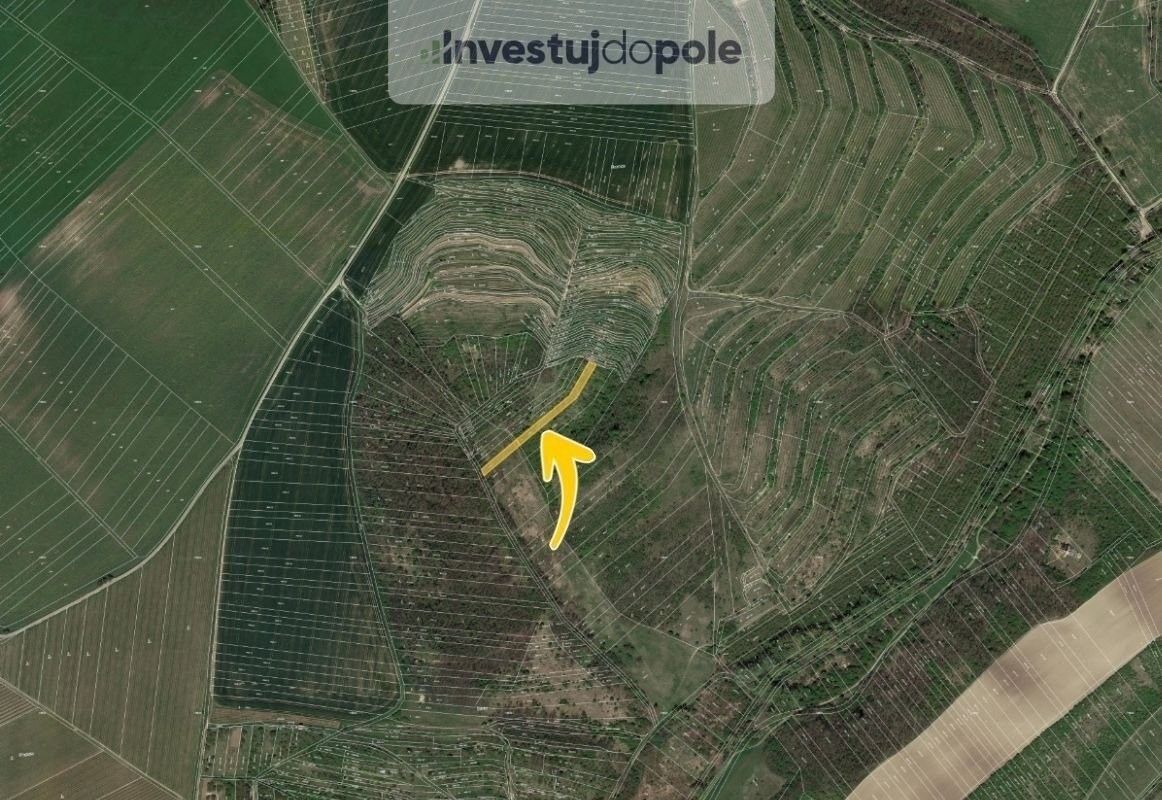 Zemědělské pozemky, Hustopeče, 1 770 m² - 2