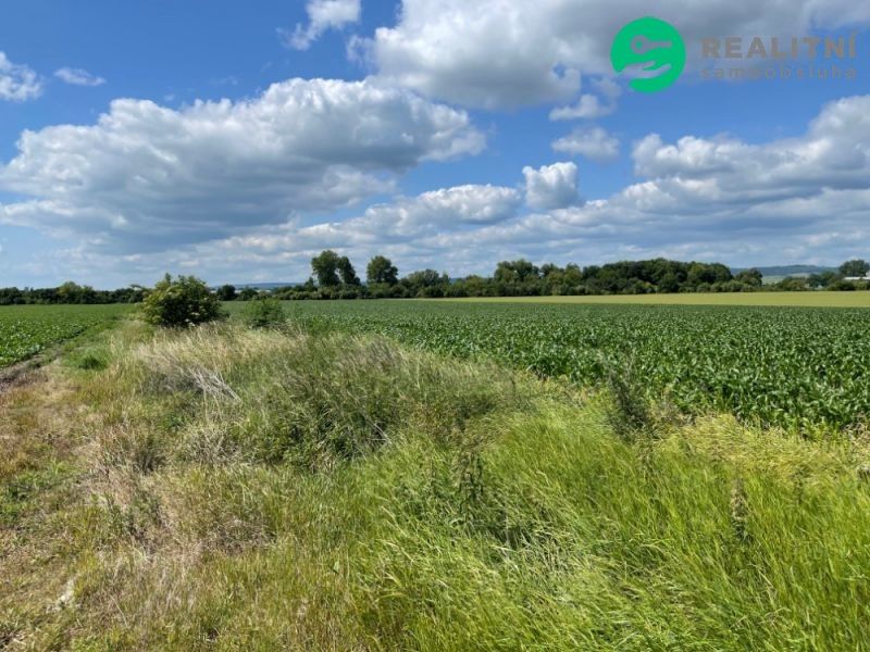 Zemědělské pozemky, Prostějov