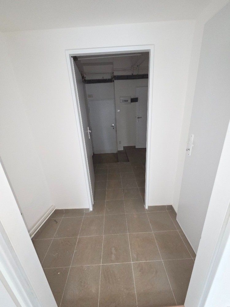 Obchodní prostory, Hollarovo náměstí, Praha - Vinohrady, 50 m² - 2