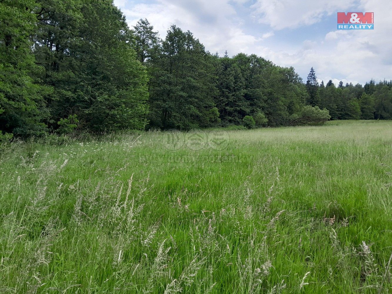 Louky, Oselce - Kotouň, okres Plzeň-jih, Plzeňský kraj - 1