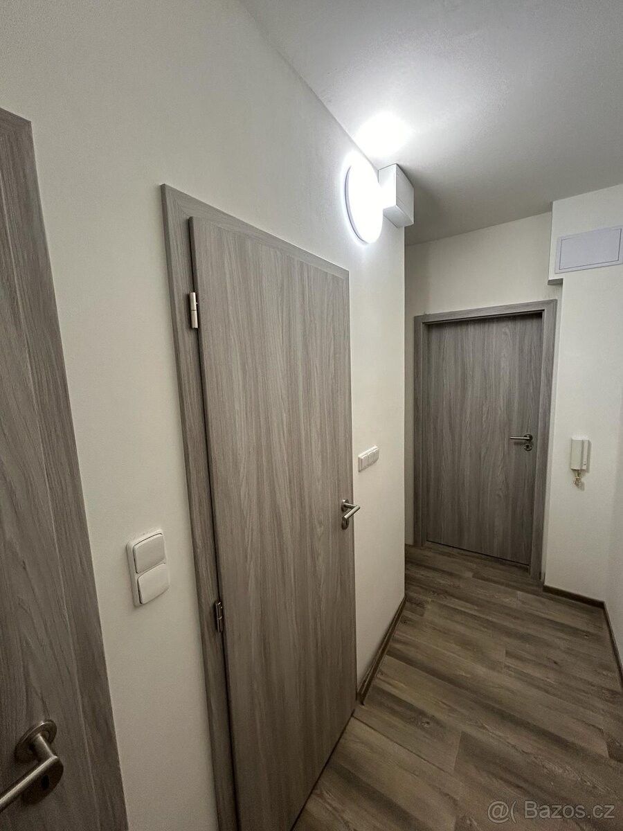 Pronájem byt 1+1 - Plzeň, 301 00, 38 m²