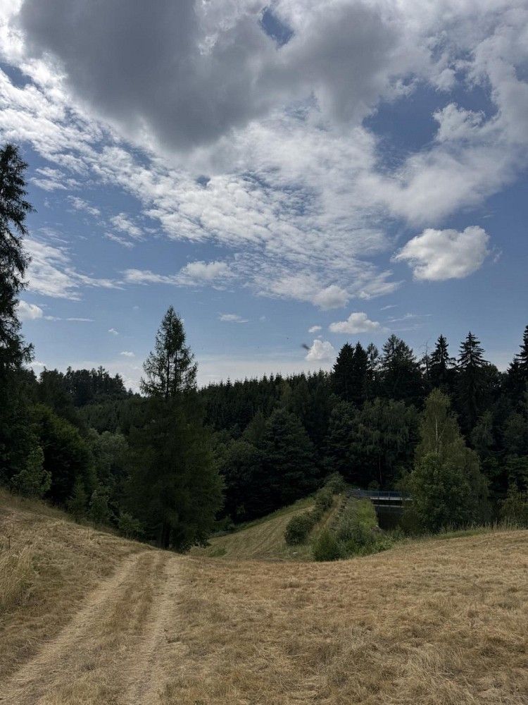 Les, 10 342 m²