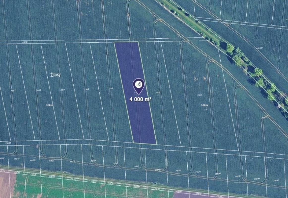 Zemědělské pozemky, Kobylnice, 4 000 m²