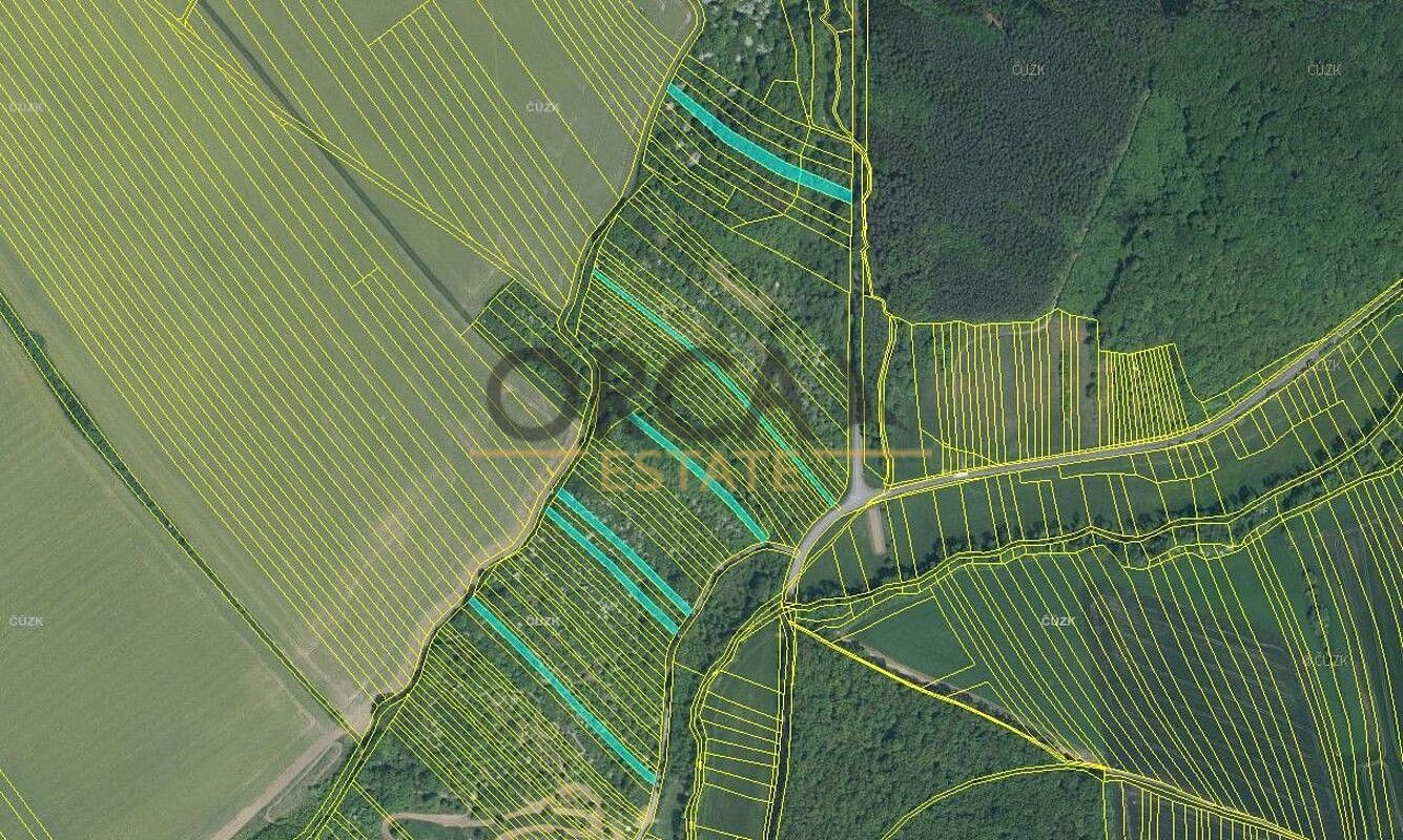 Zemědělský pozemek · Březolupy, okres Uherské Hradiště, Zlínský kraj - 3