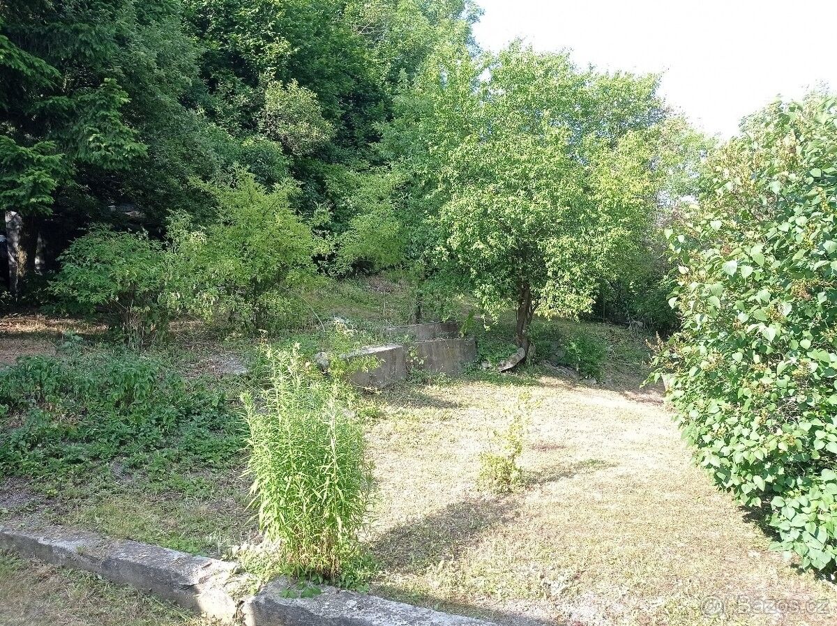 Zahrady, Žamberk, 564 01, 1 000 m²