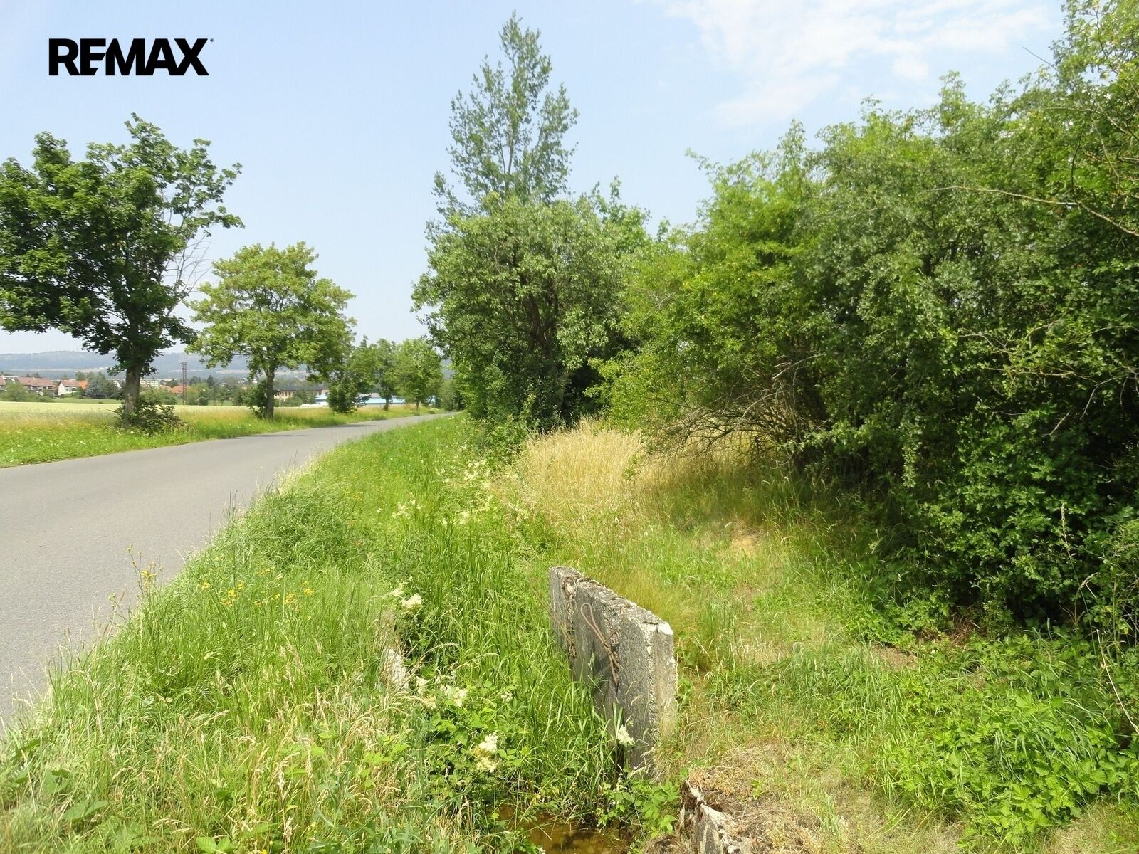 Lesy, Rožmitál pod Třemšínem, 3 871 m² - 1