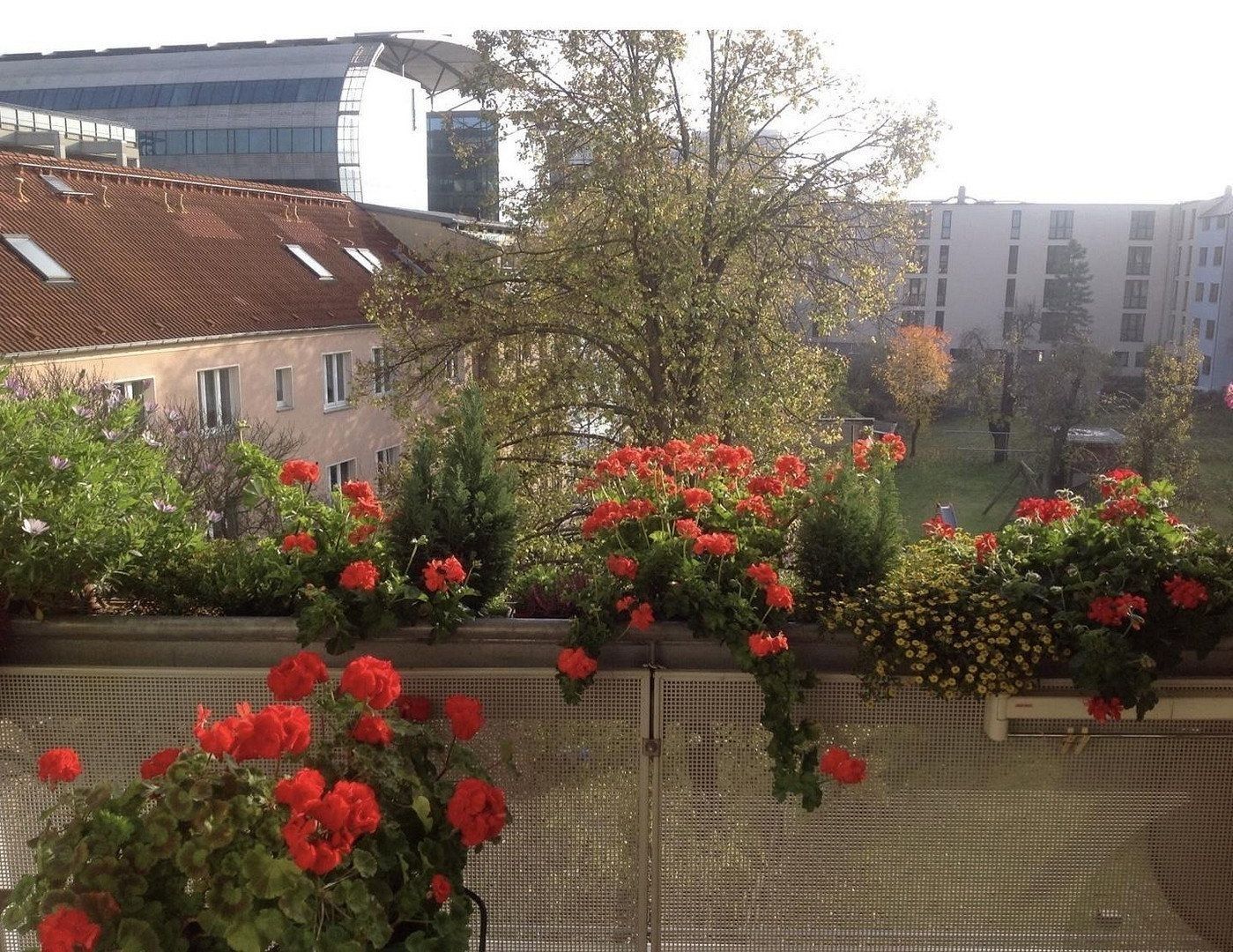 3+kk, Friedhofsweg 4 Rostock Kröpeliner-Tor-Vorstadt Mecklenburg-Vorpommern 18057, 85 m² - 1