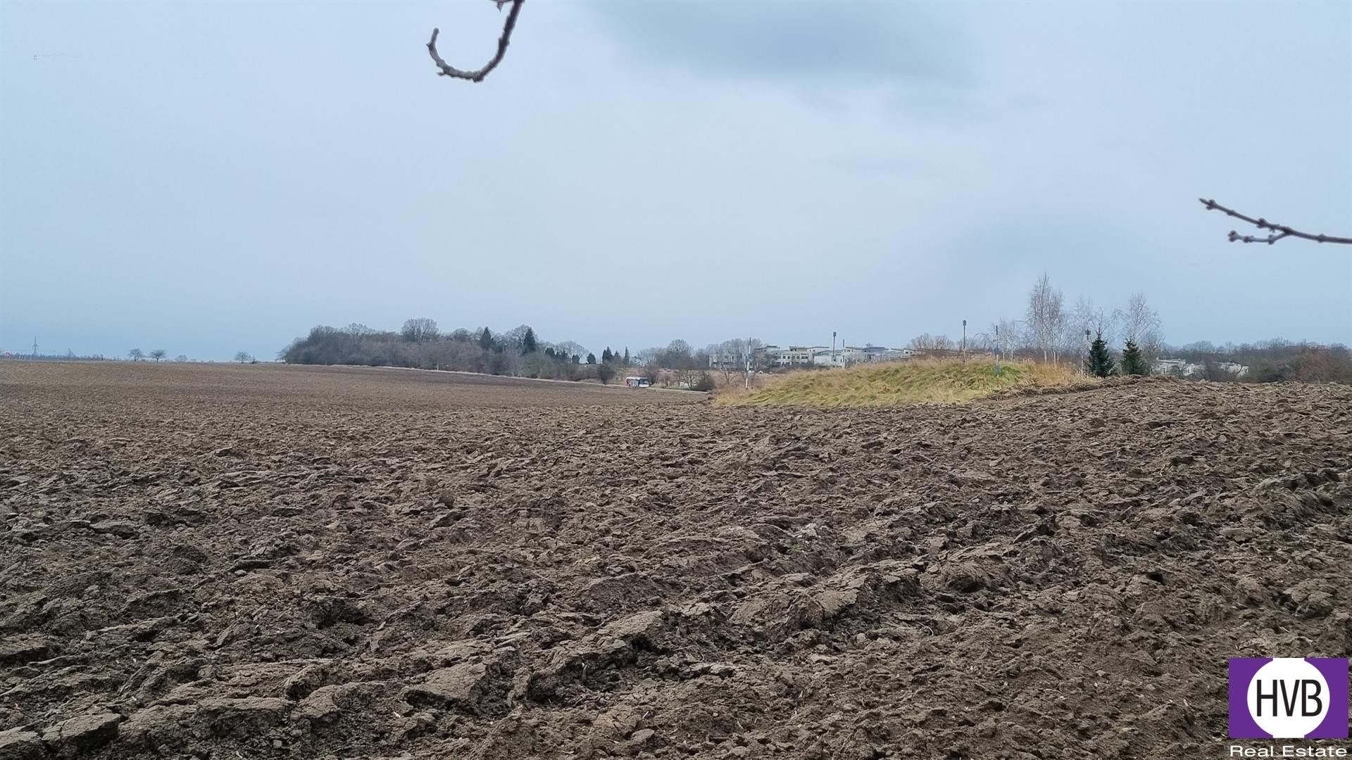 Zemědělské pozemky, Číčovice, 14 m²