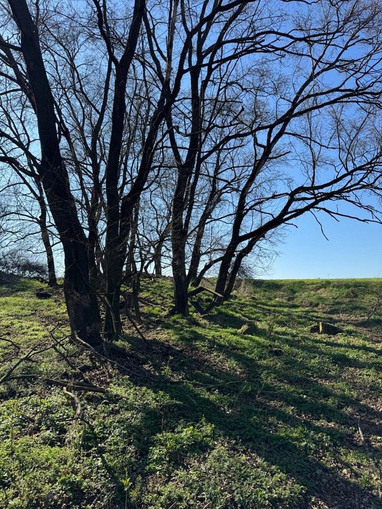 Pozemek · Černín - Horní Bříza, okres Znojmo, Jihomoravský kraj - 3