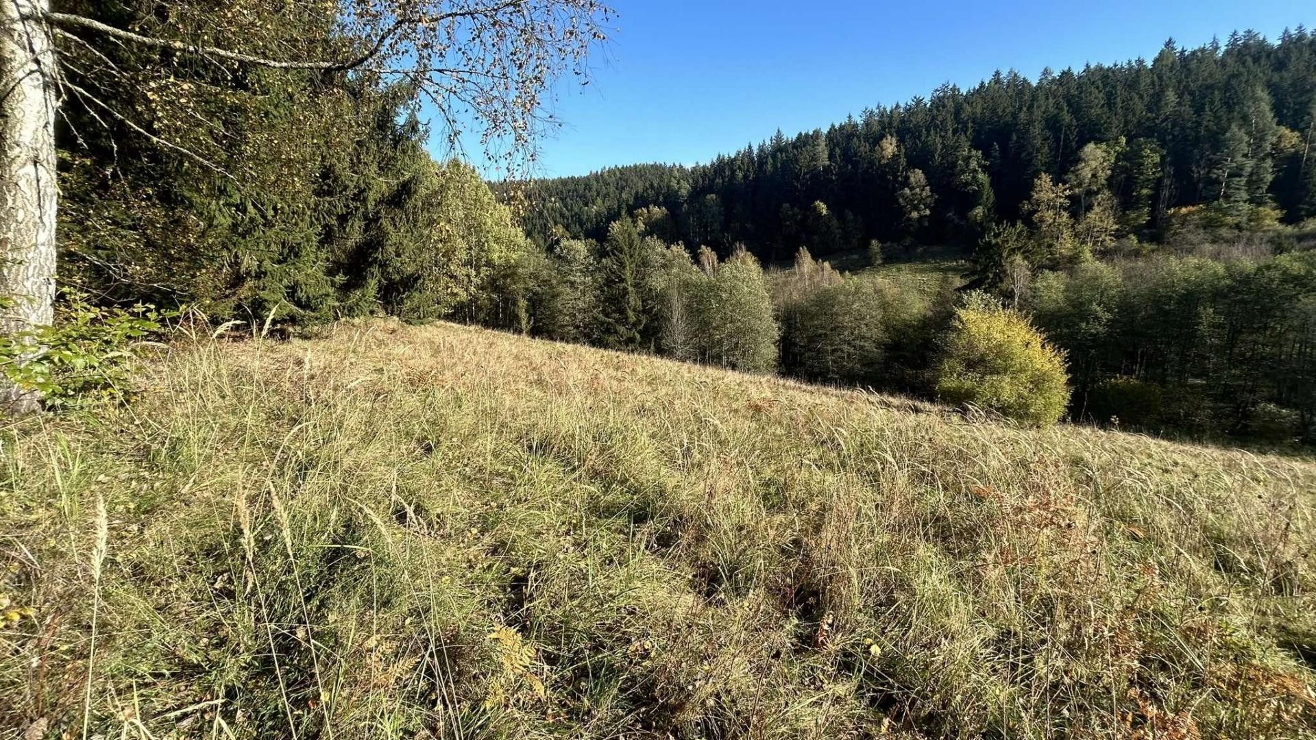 Louky, Prostřední, Staré Buky