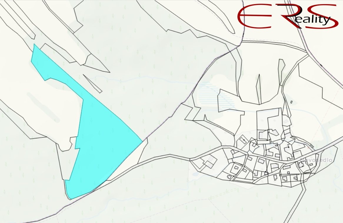 Prodej les - Merboltice - 2
