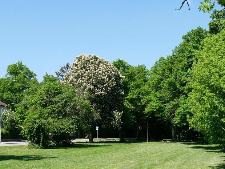 3+1, München Trudering Bayern 81825, 78 m² - 2