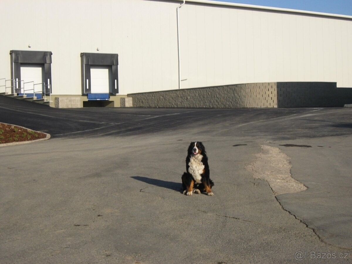 Pronájem sklad - Slaný, 274 01