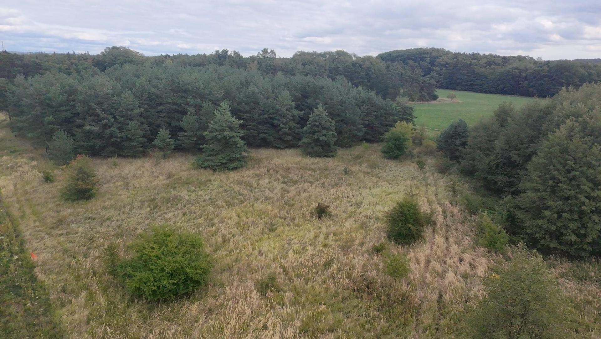Pozemek · 15 382 m² · Předonín - 3
