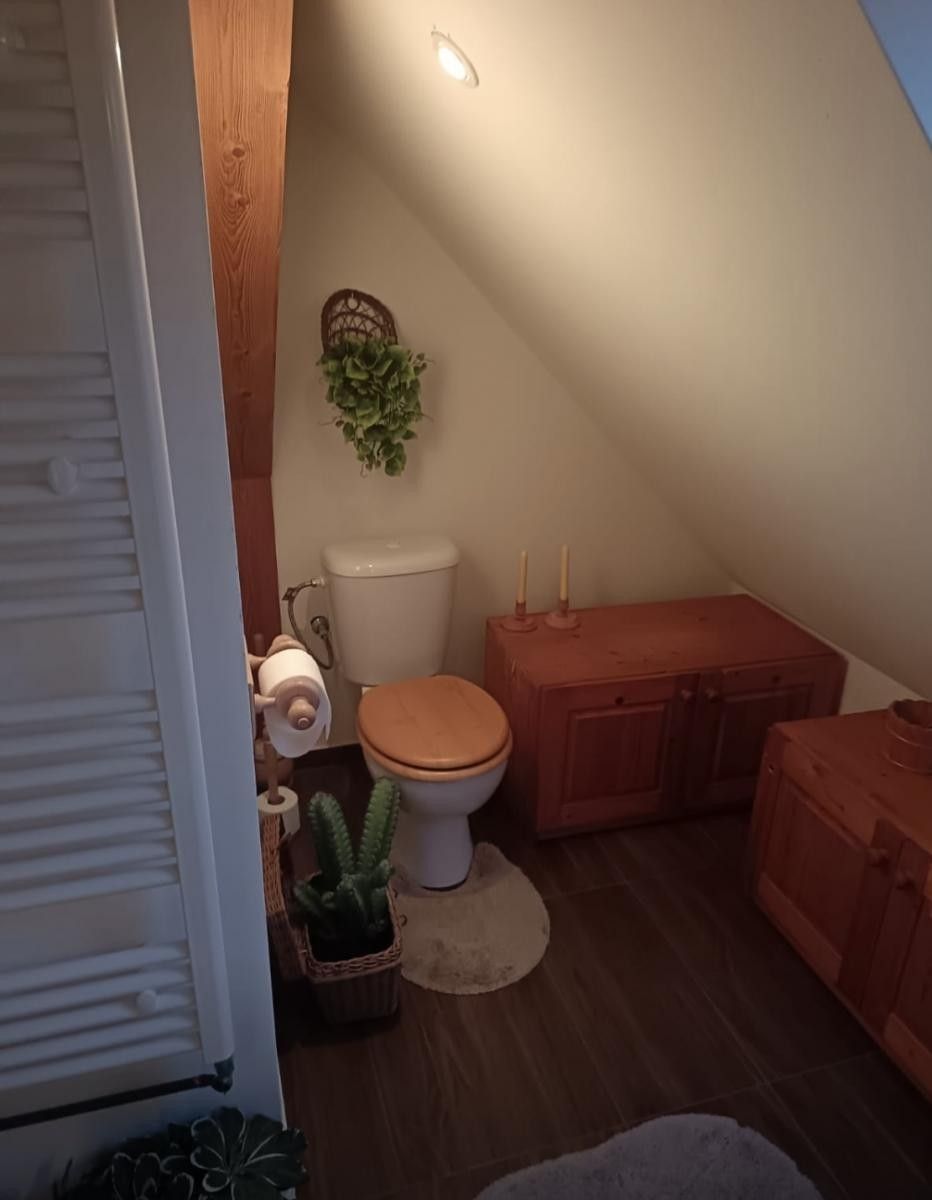 Rodinný dům · 300 m² · Dřevíkov, Vysočina - 4