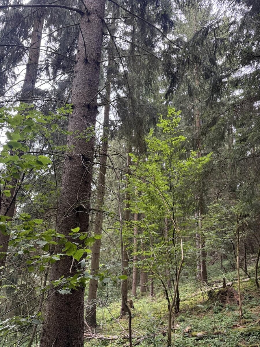 Pozemek pro bydlení · Všelibice, 463 48 - 4