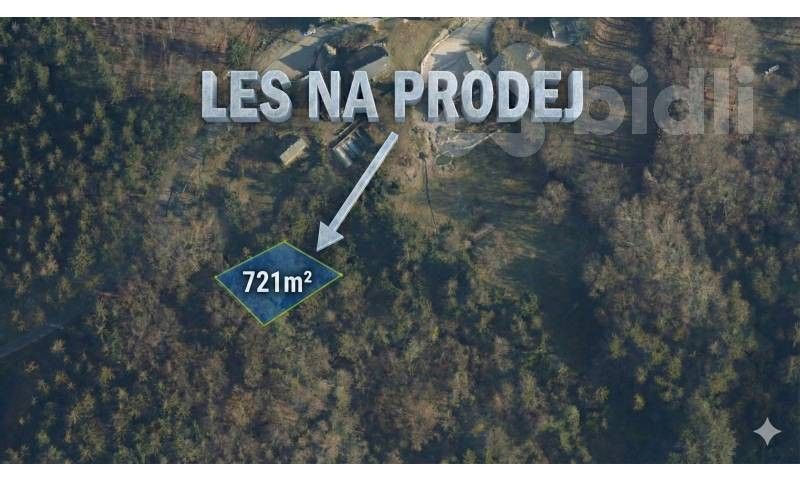 Lesy, Šumburk nad Desnou, Tanvald