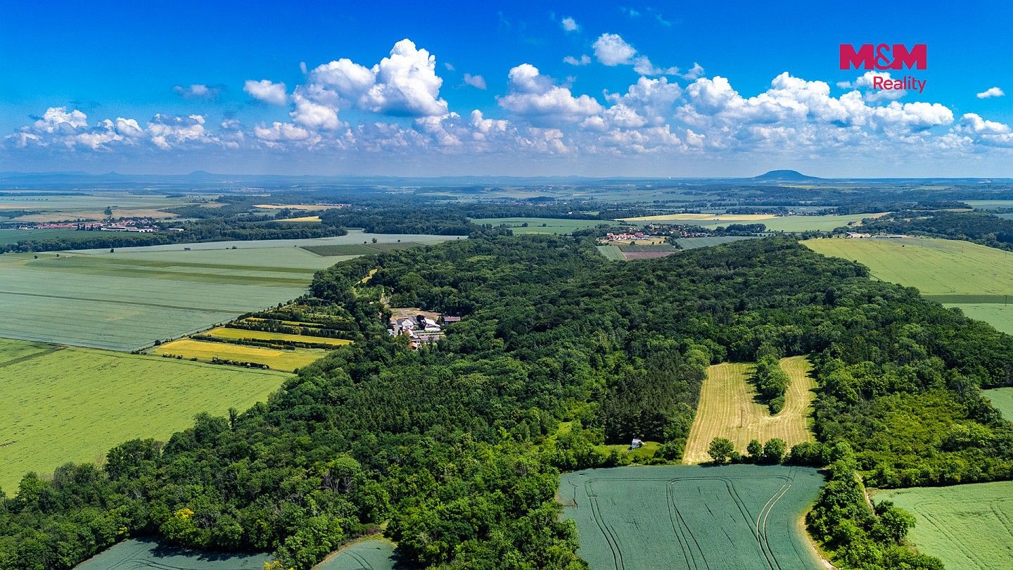 Prodej les - Libochovice - Poplze, okres Litoměřice, Ústecký kraj - 2
