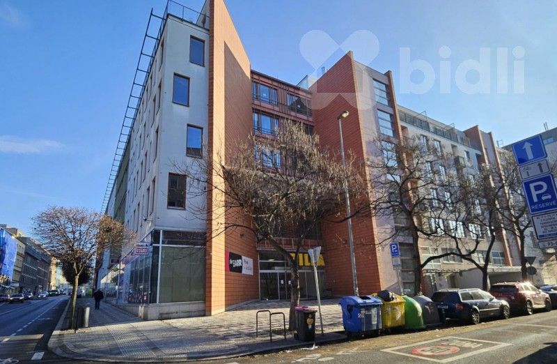 Garáže, Lukášova, Praha, 14 m²