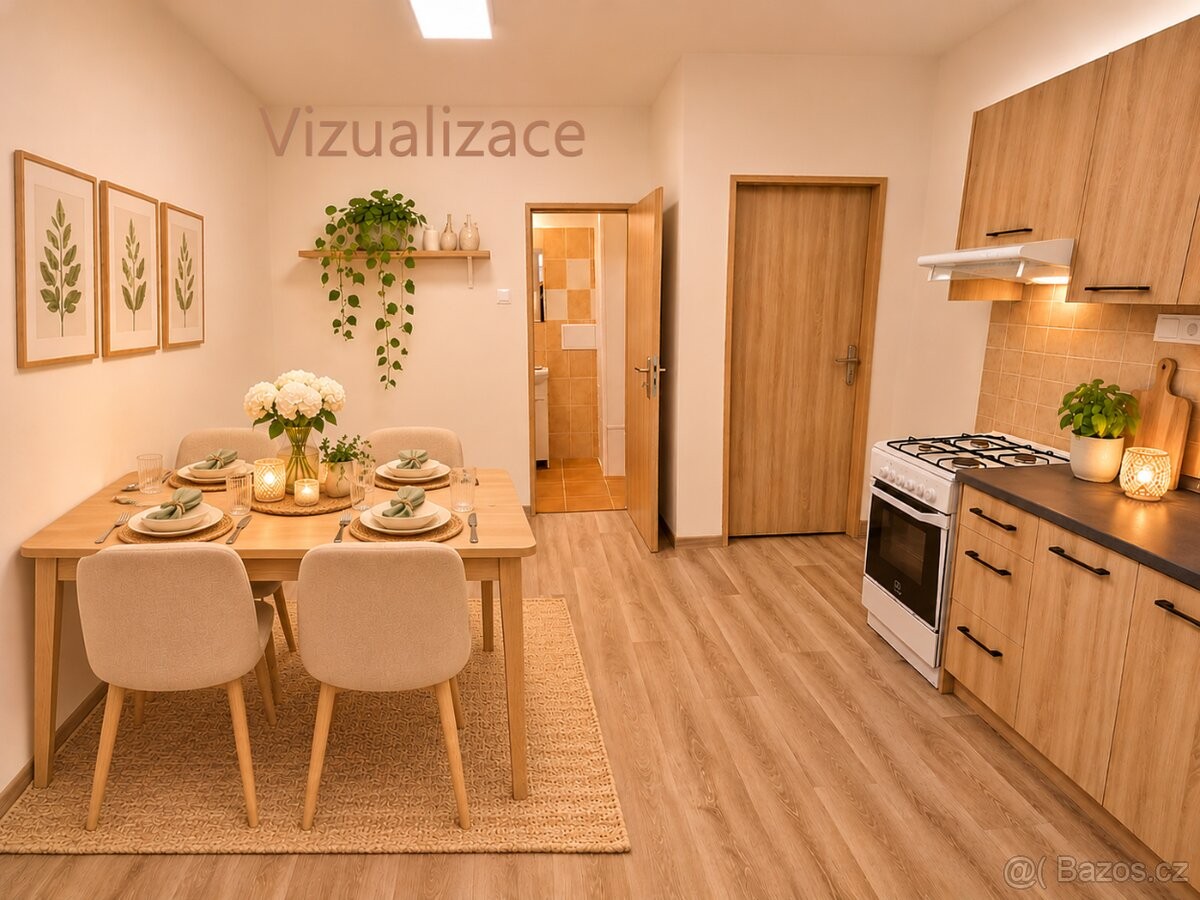 Byt 1+1 · 42 m² · Louny, 440 01 - 3