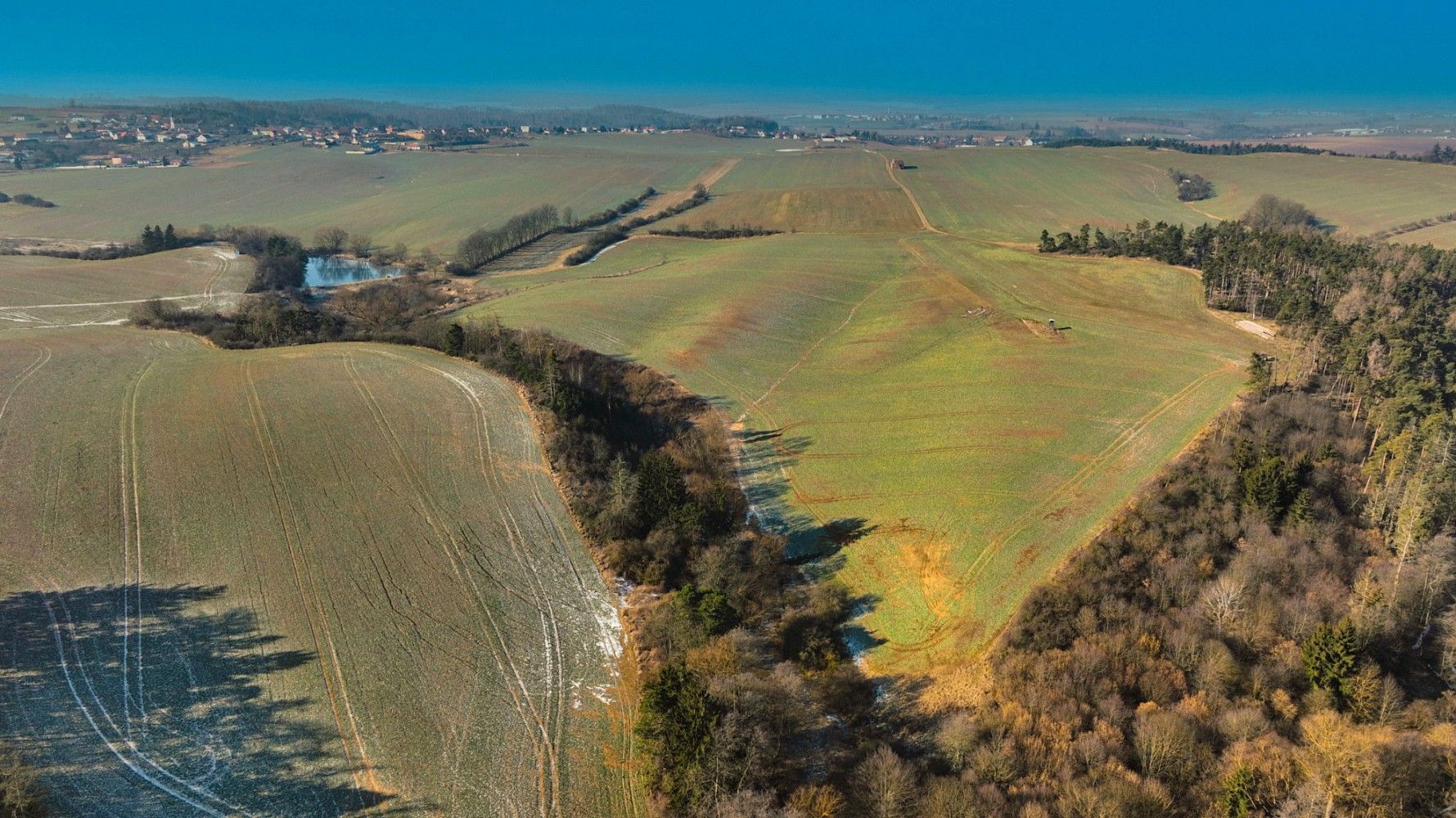 Rybník · Pavlice, okres Znojmo, Jihomoravský kraj - 3