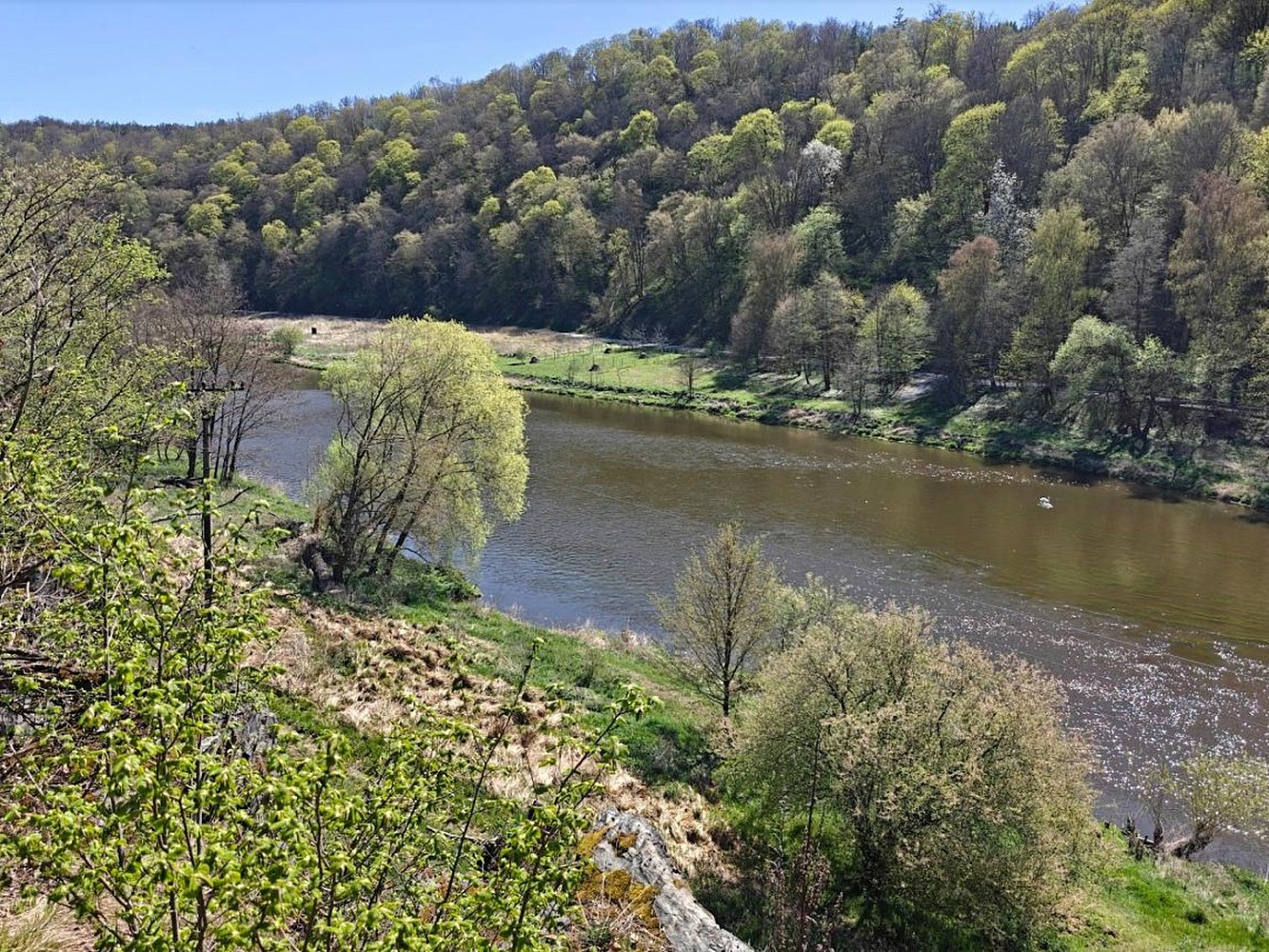 Zahrada · Nižbor, okres Beroun - 3