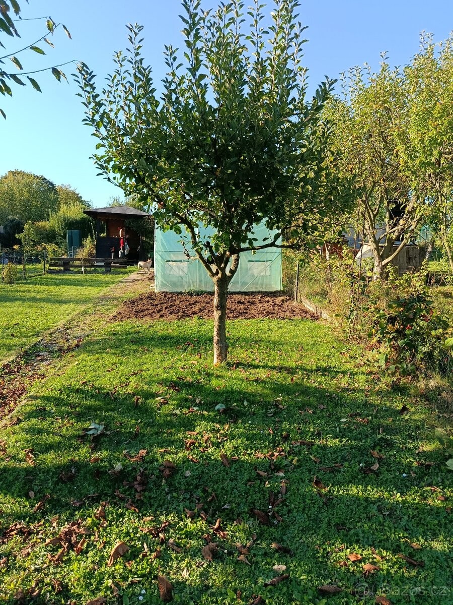Zahrada · Nový Jičín, 741 01 - 3