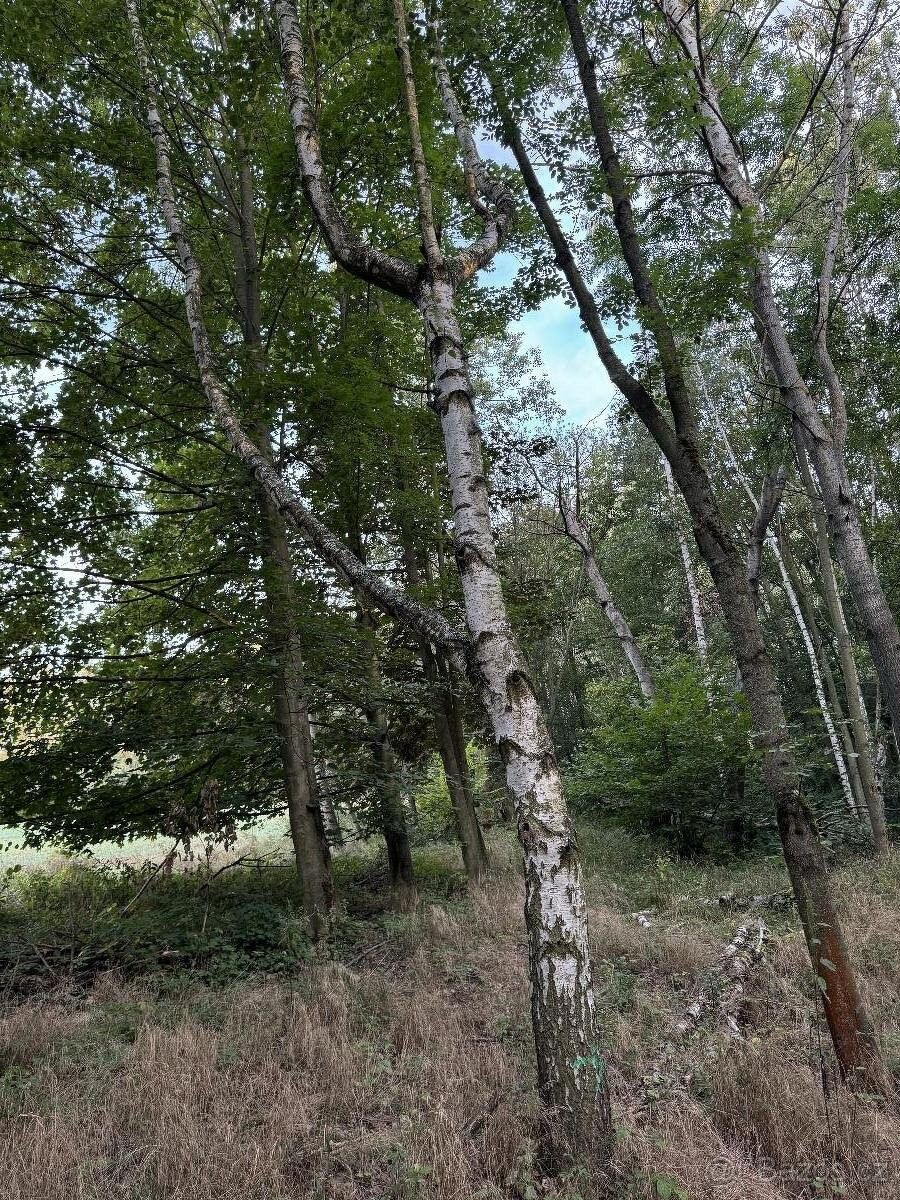 Pozemky pro bydlení, Úštěk, 411 45