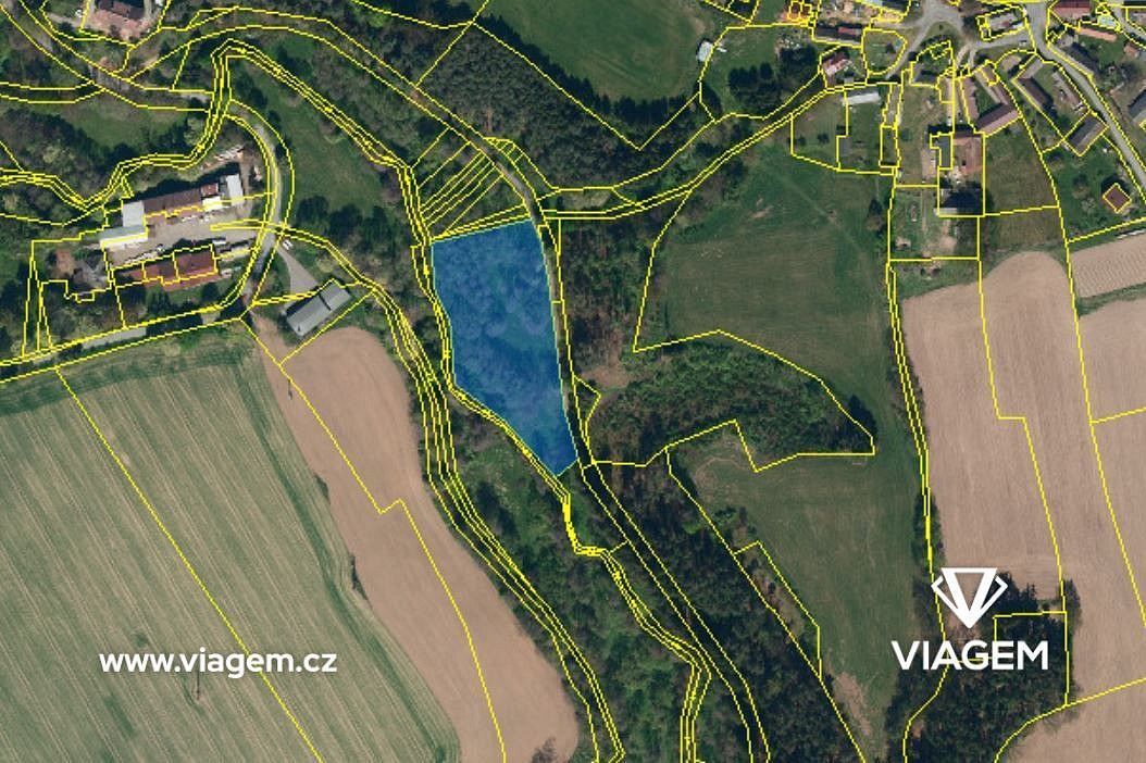 Zahrada · Světlá nad Sázavou, okres Havlíčkův Brod, Kraj Vysočina - 3