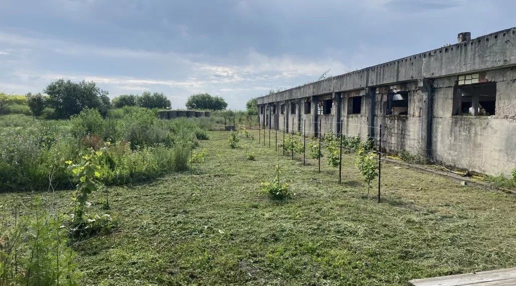 Ostatní, 987 65, Slovensko - 1