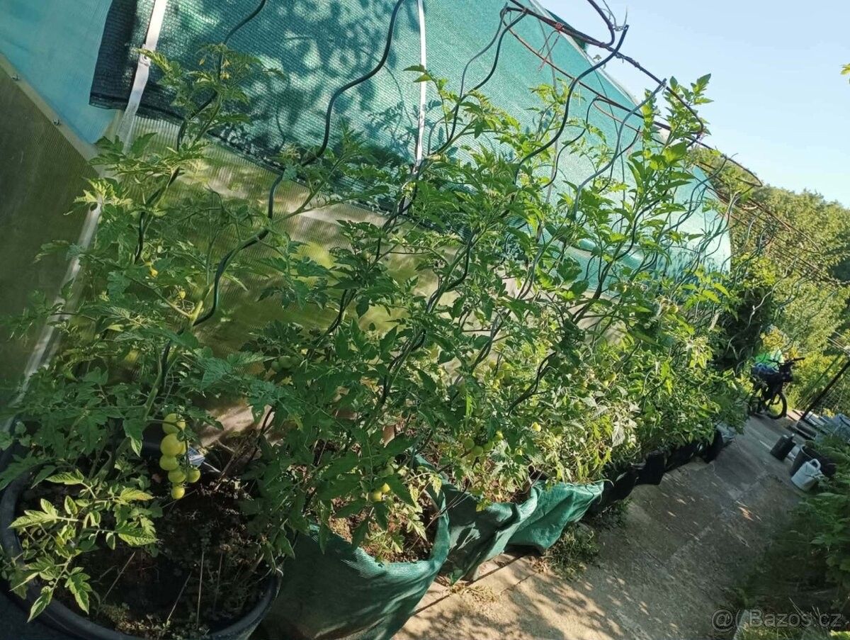 Zahrady, Zlín, 763 02