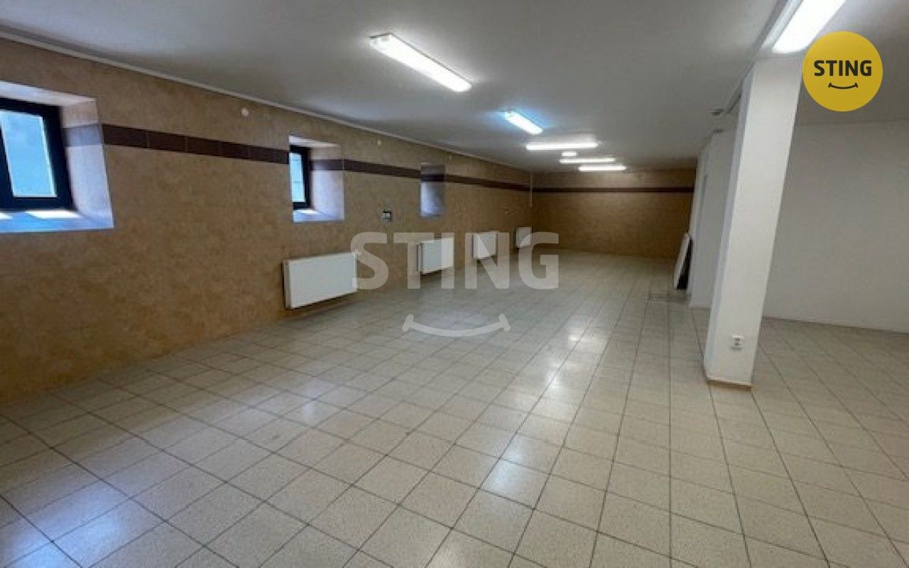 Pronájem sklad - Ostravská, Český Těšín, 230 m² - 5