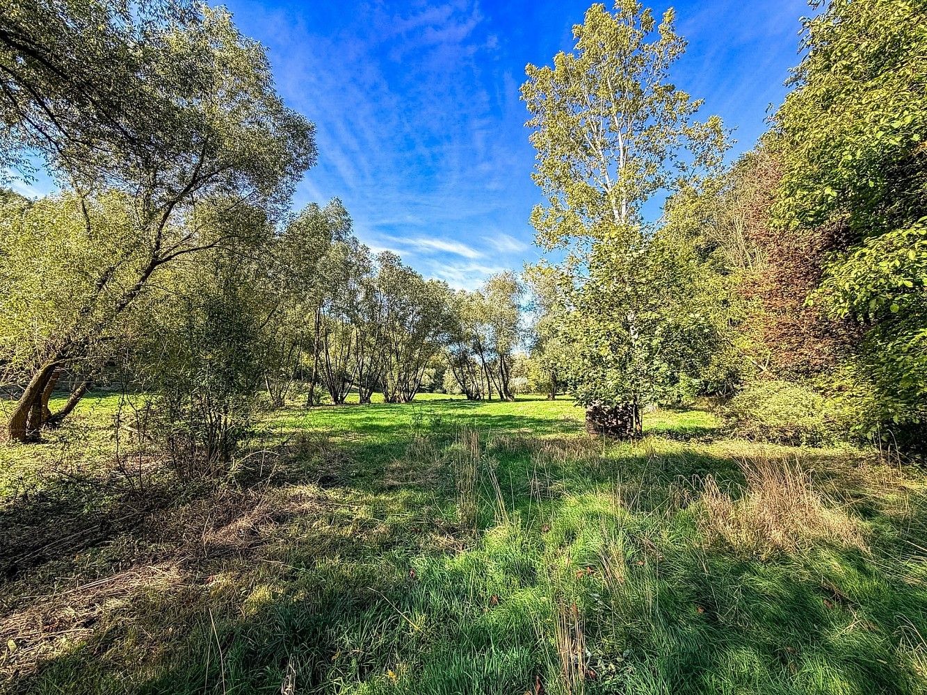 Prodej pozemek pro bydlení - Řepníky - Popovec, okres Ústí nad Orlicí - 5