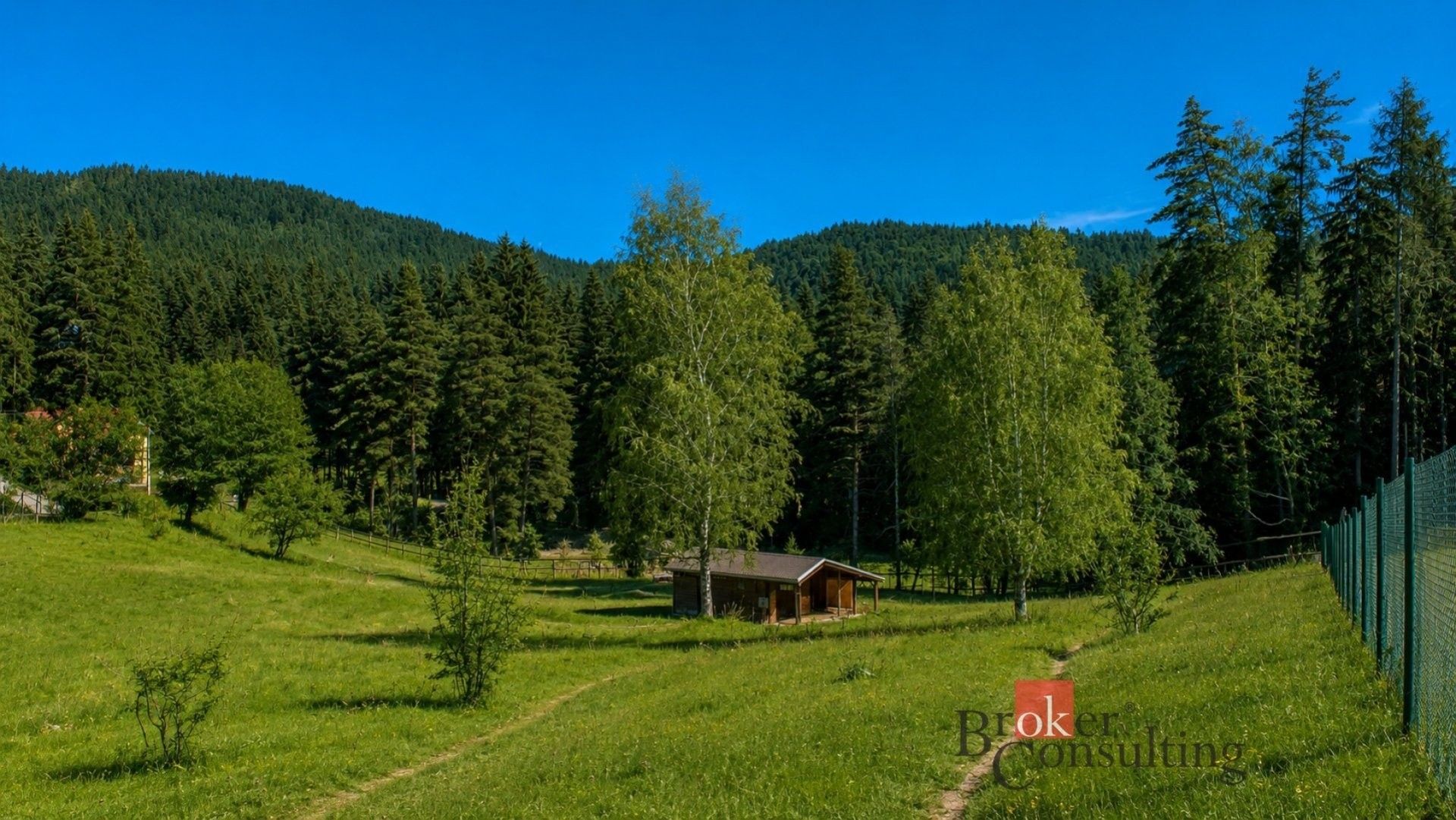 Prodej pozemek pro bydlení - Nejdek - 5
