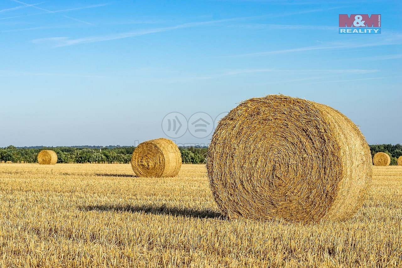 Zemědělský pozemek · Líně, okres Plzeň-sever, Plzeňský kraj - 3
