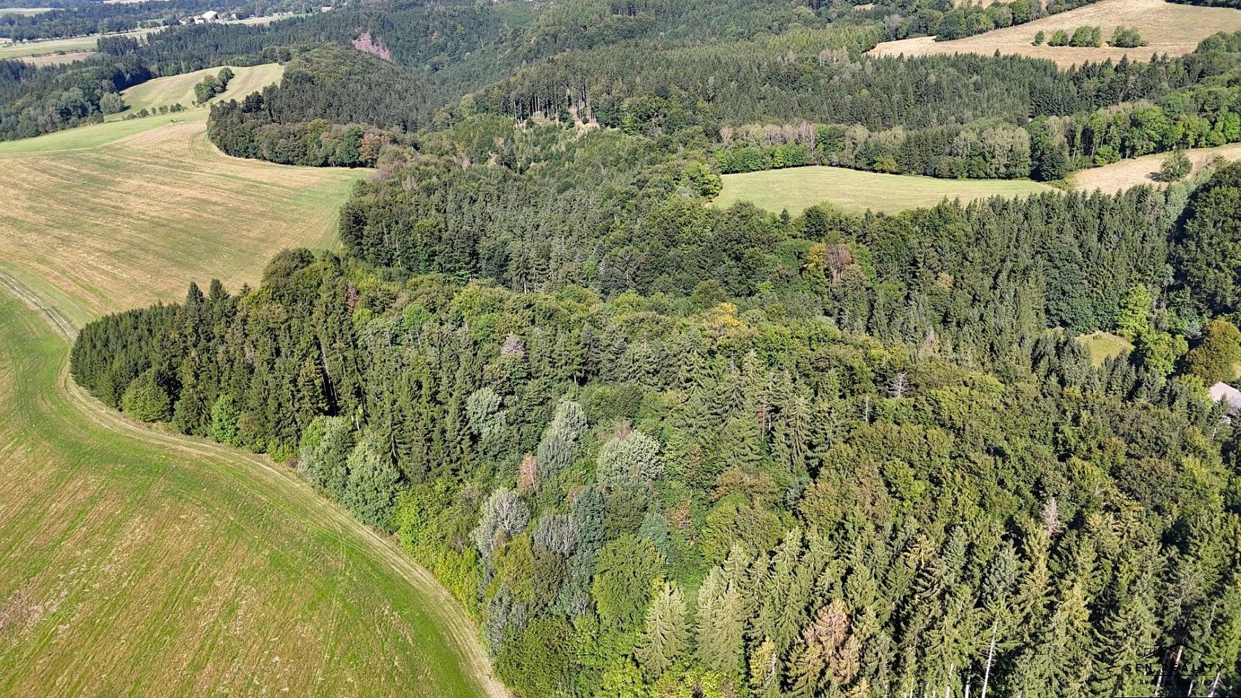 Prodej les - Liberk, okres Rychnov nad Kněžnou - 5
