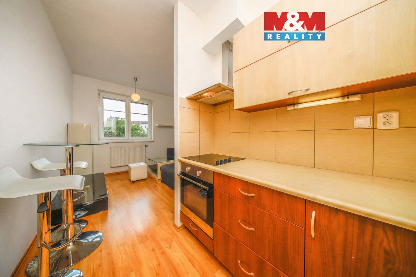 1+kk, U Radbuzy, Plzeň, 29 m²