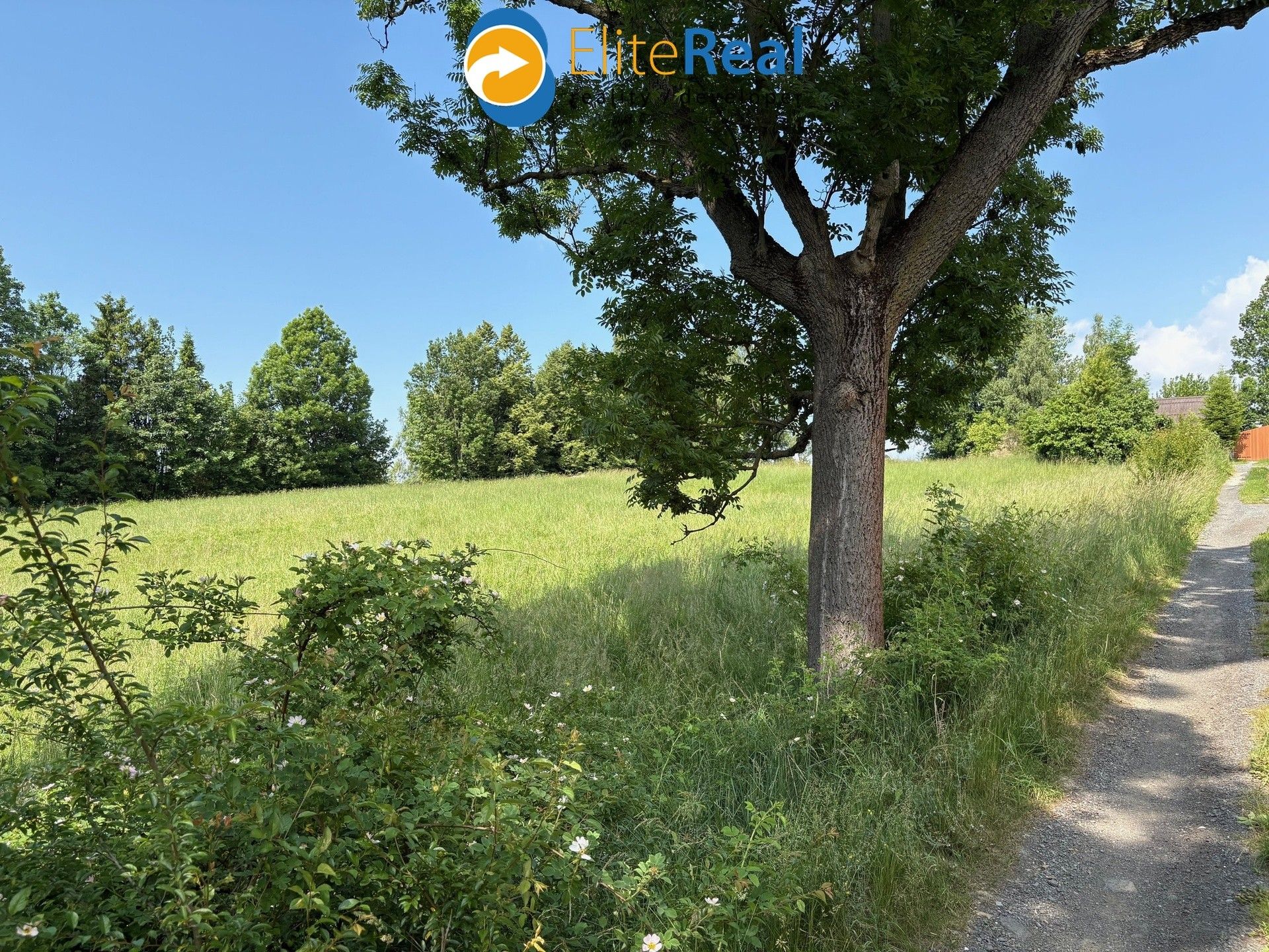 Prodej pozemek pro bydlení - Razová