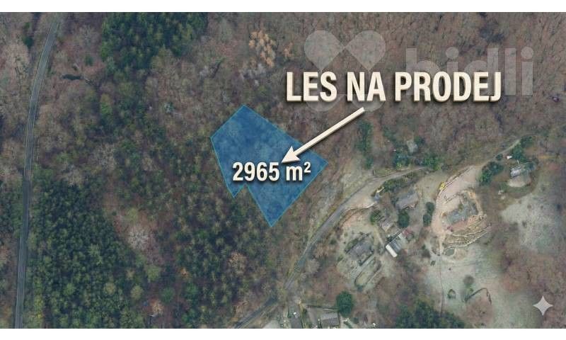 Lesy, Šumburk nad Desnou, Tanvald