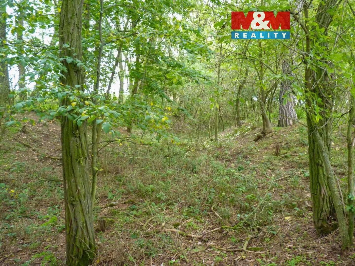 Lesy, Dolní Habartice